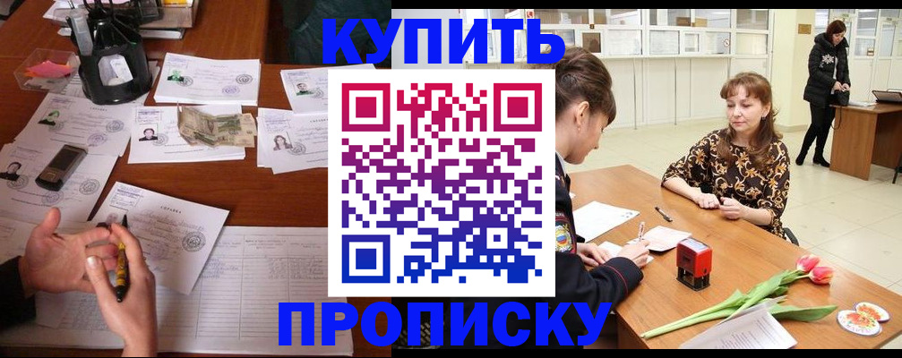 купить прописку в Камчатском крае
